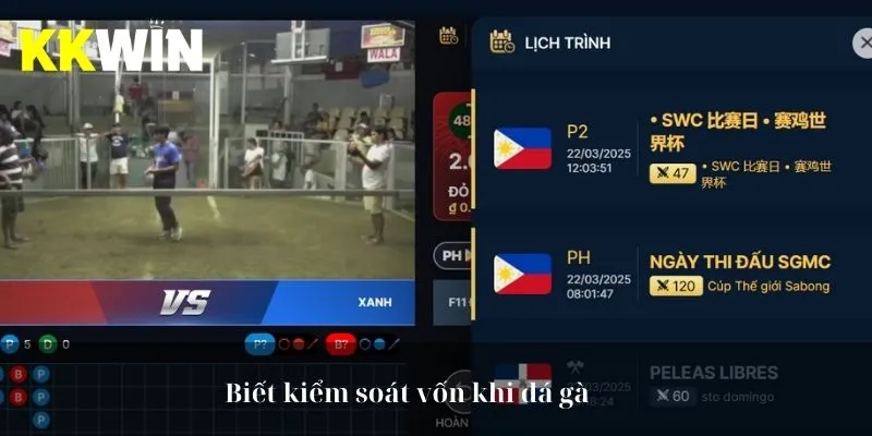 Biết kiểm soát vốn khi đá gà