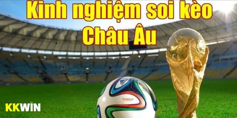 Kinh nghiệm giúp bạn đặt cược dễ dàng chiến thắng nhất hiện nay