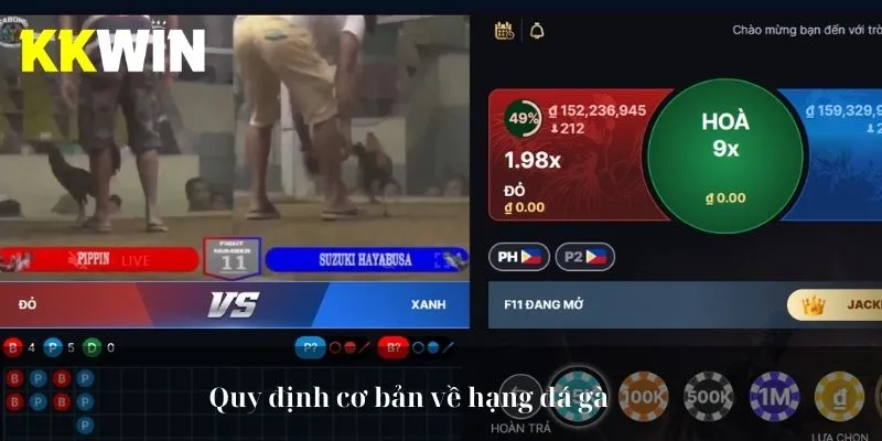 Quy định cơ bản về hạng đá gà