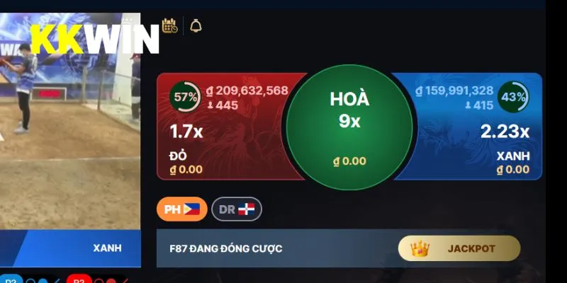 Theo dõi và đặt cược đá gà Thomo tại nhà cái online