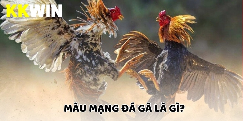 Màu mạng đá gà là gì?