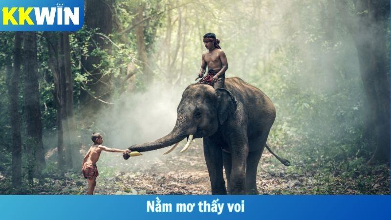 Nằm Mơ Thấy Voi
