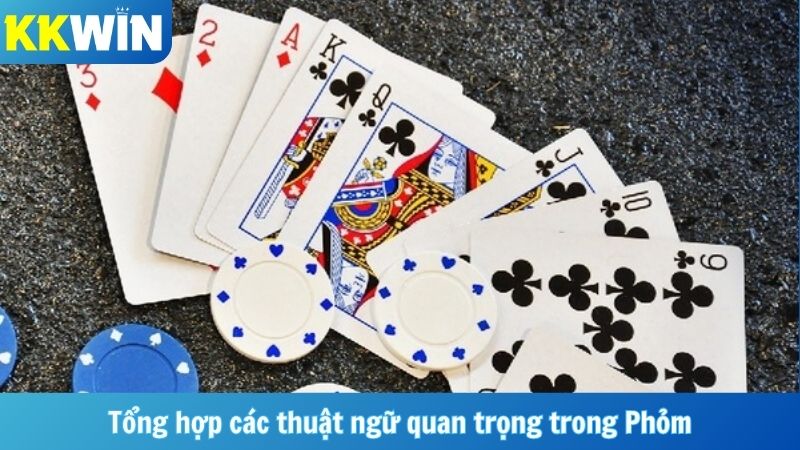 Tổng hợp các thuật ngữ quan trọng trong Phỏm
