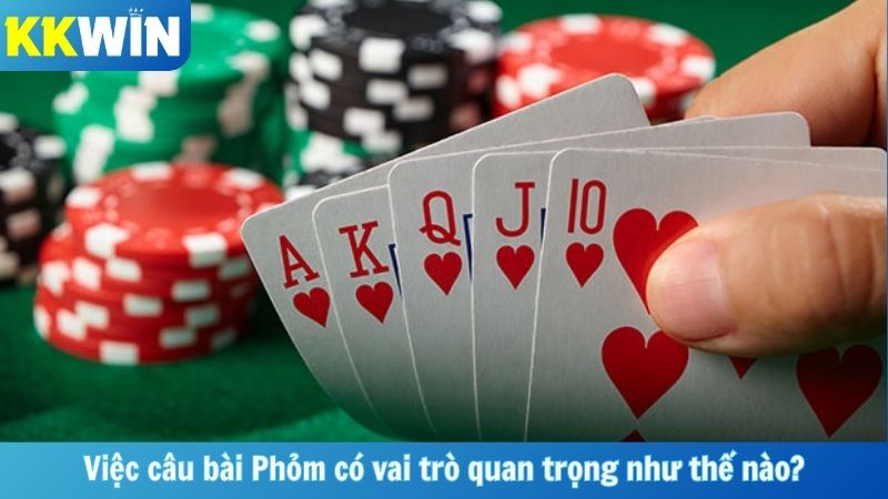 Việc câu bài Phỏm có vai trò quan trọng như thế nào?